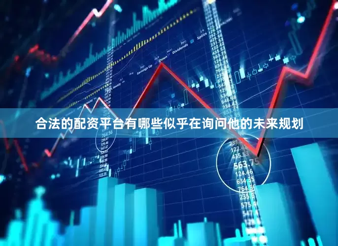 合法的配资平台有哪些似乎在询问他的未来规划