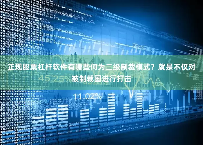 正规股票杠杆软件有哪些何为二级制裁模式？就是不仅对被制裁国进行打击