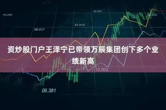 资炒股门户王泽宁已带领万辰集团创下多个业绩新高